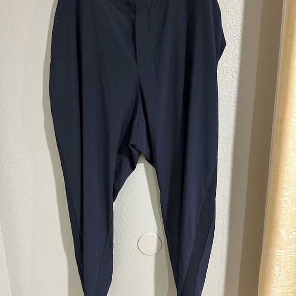 Athleta Brooklyn ankle pants size 24 perfect condition - Picture 2 of 6